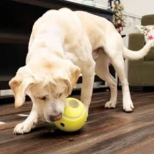 KONG REWARD TENNIS BALL LARGE 2