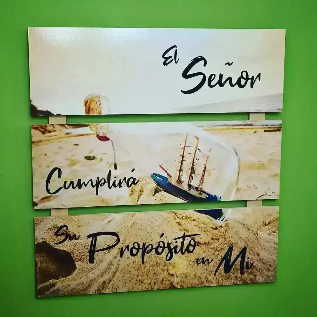 Cuadro Horizontal x 3 XL 519