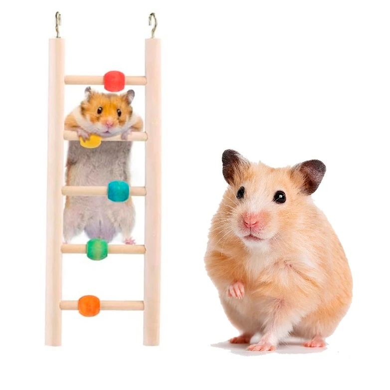 Juego Escalera de Colores Hamster 30*9.5cm Esc-62