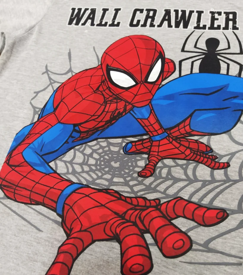 Spider-man (6-8-10) 2