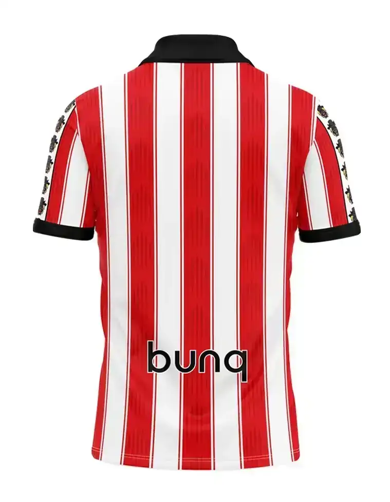 Camiseta algodón  2