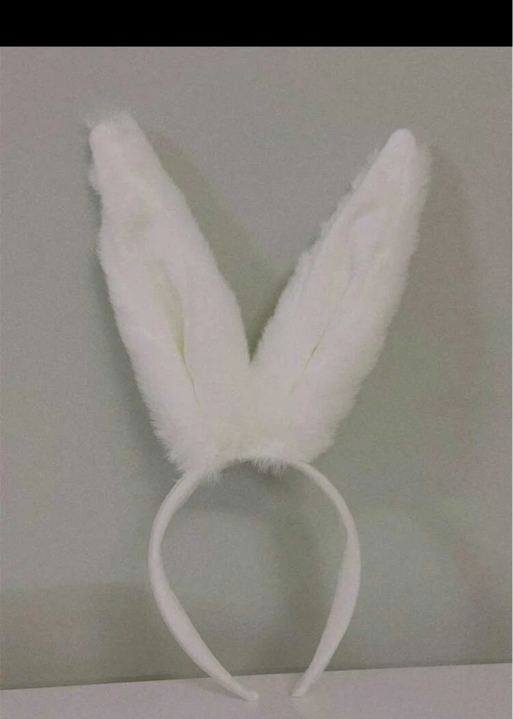 Diadema orejas de conejo 2