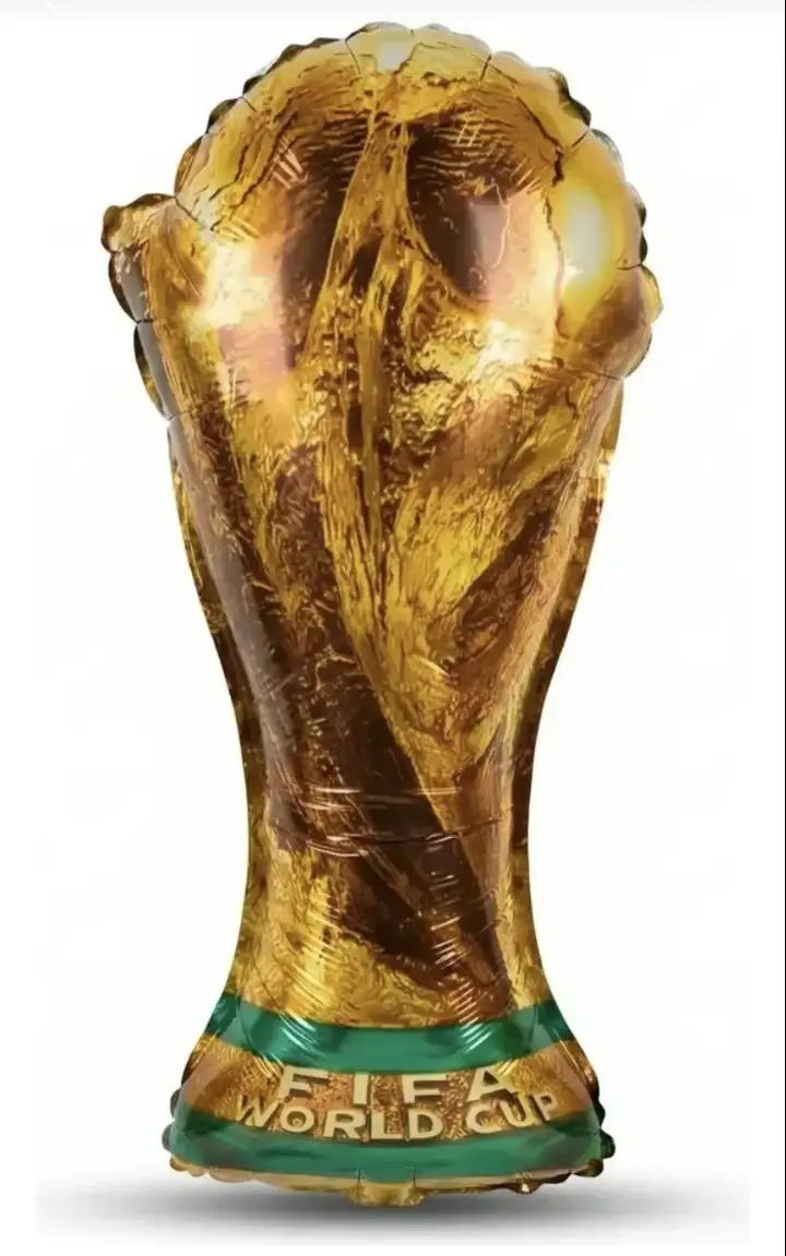 Globo copa del mundo 45 cm 2