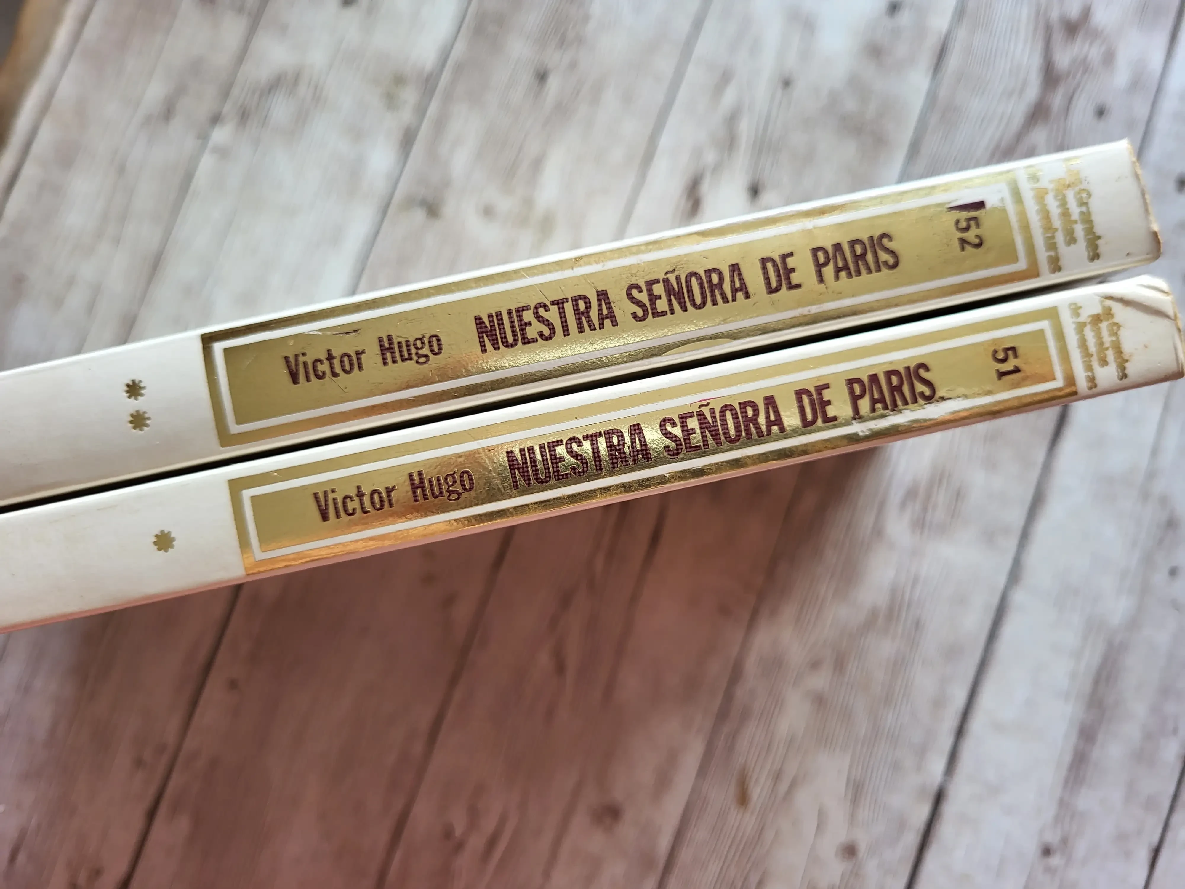 Nuestra señora de París en II Tomos / Victor Hugo / Aventura /Clasicos 2