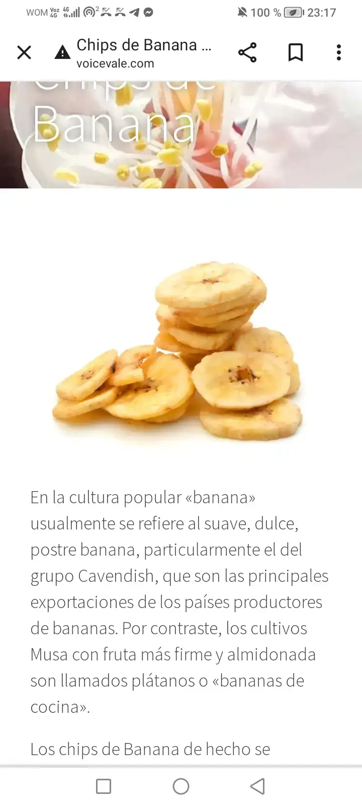Banana chip 400 gramos