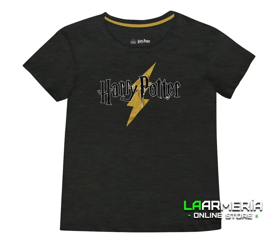 Harry Potter logo  (S-L)