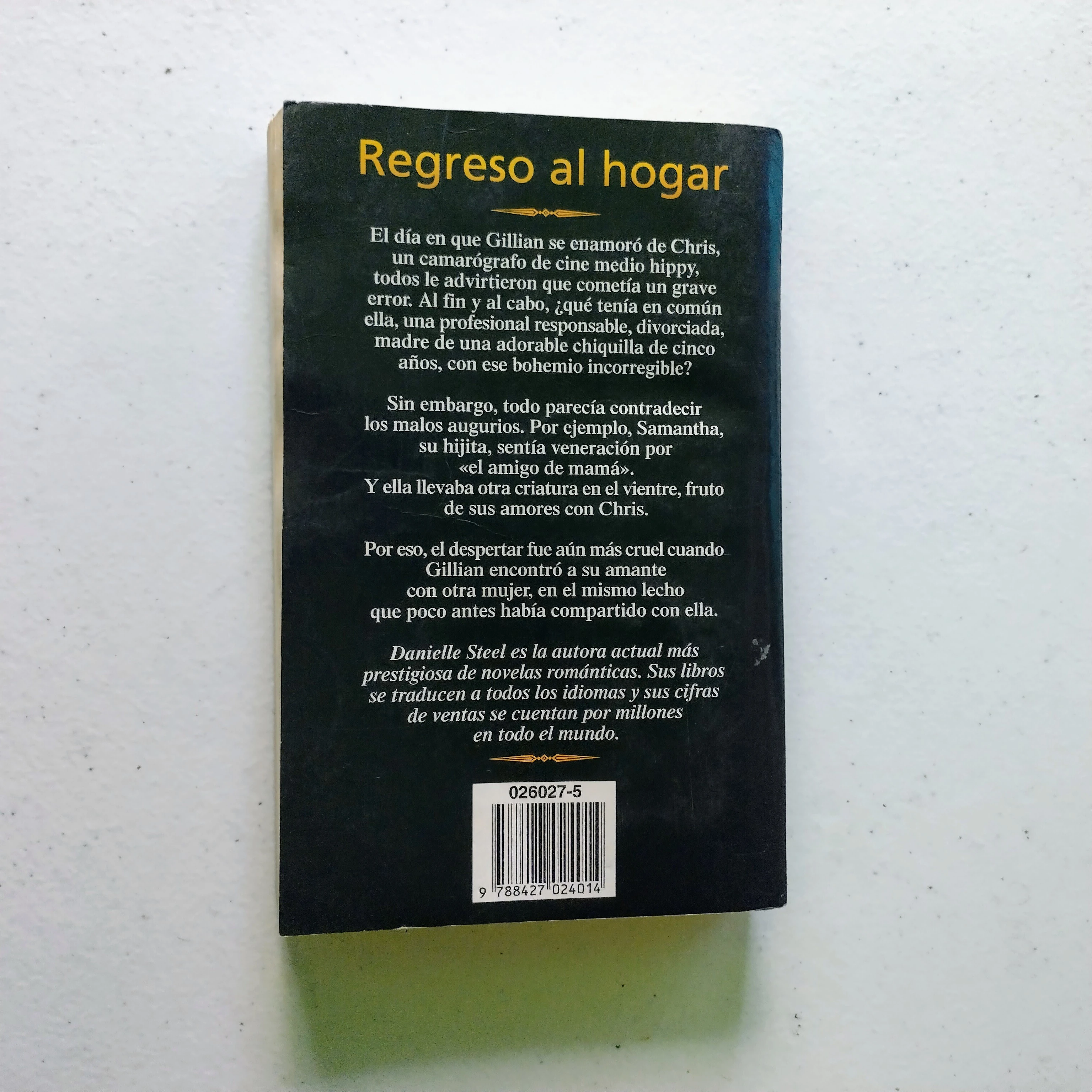 Regreso al hogar Daniell Steel, usado 2