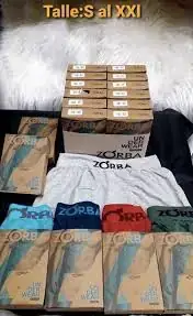 Boxer zorba x12 $5400 3