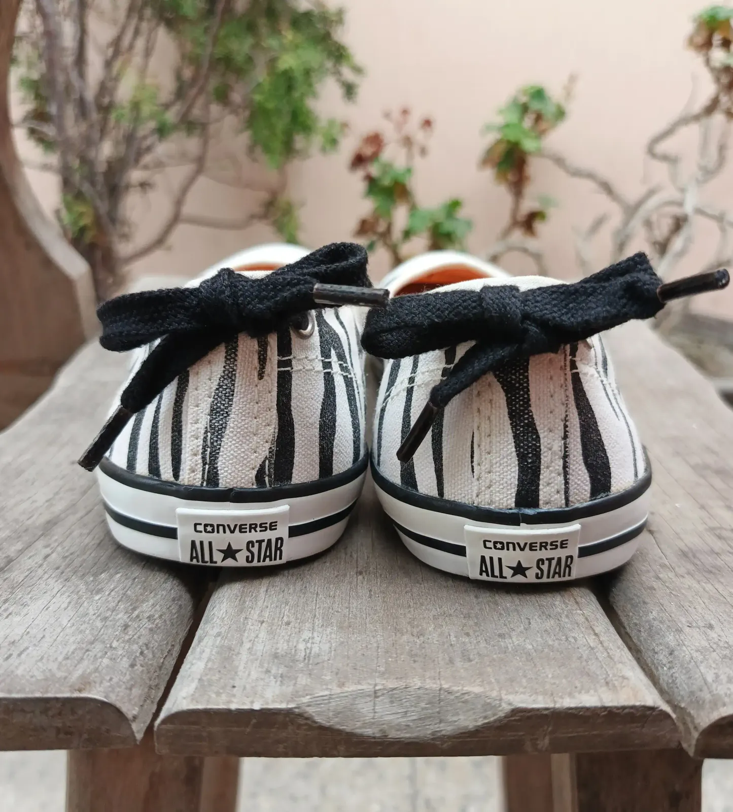 Converse All Star Ballerina 3