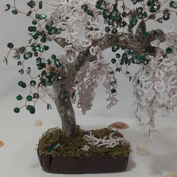 Bonsai Sauce Lloron Blanco
