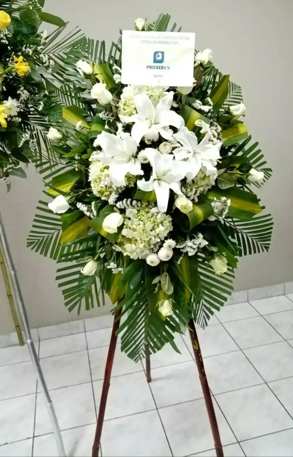 Lagrima en pedestal 