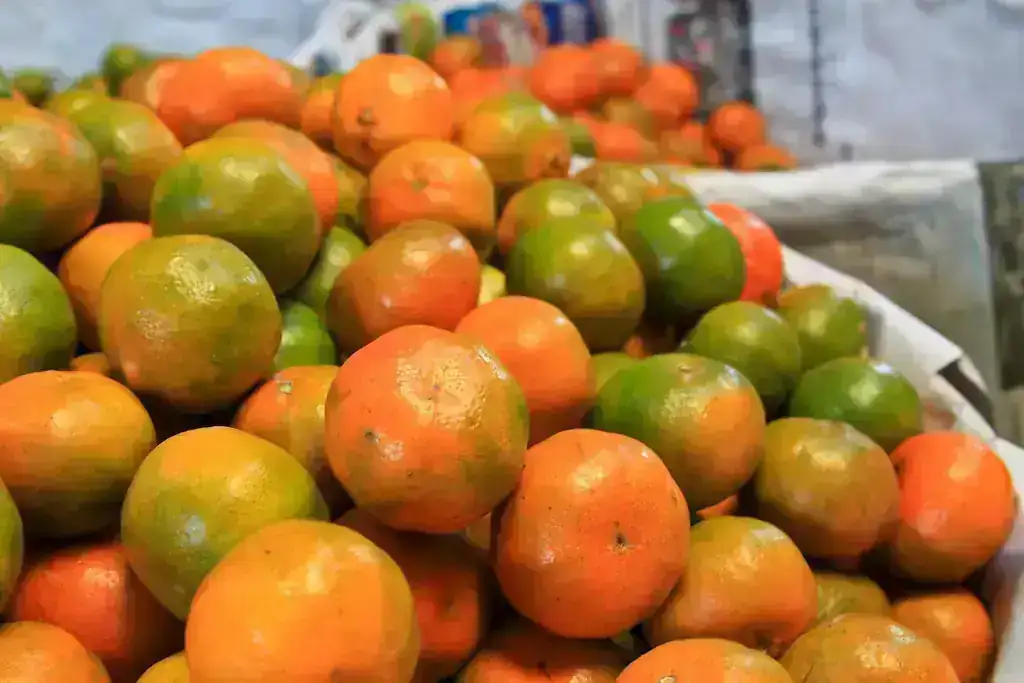 MANDARINA/NACIONAL/MANO