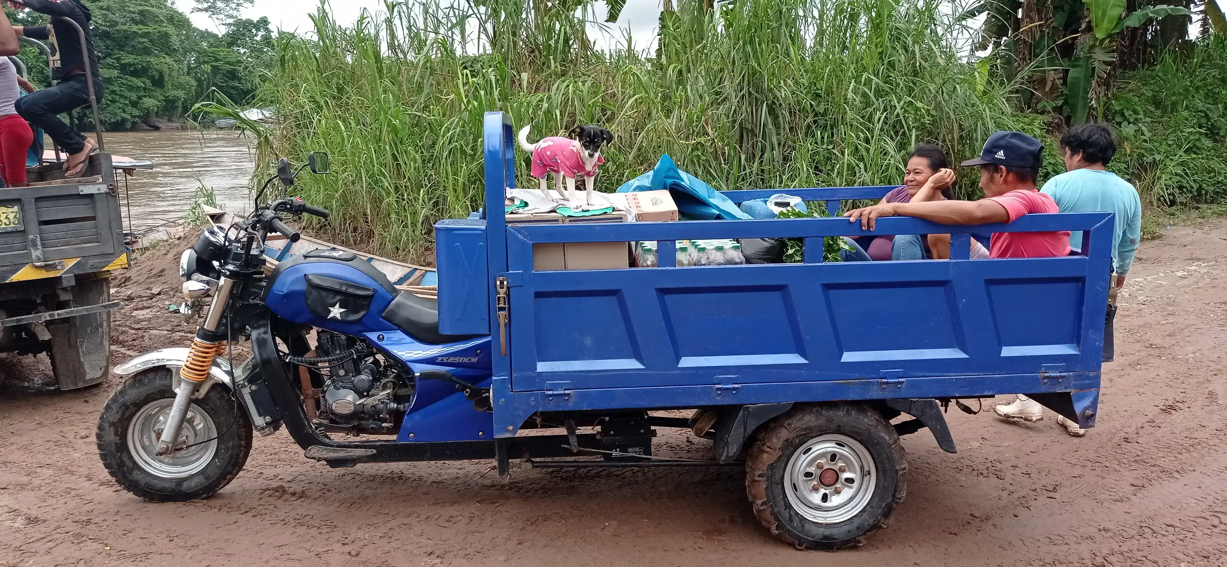 Servicio de transporte de carga Moto furgon  3