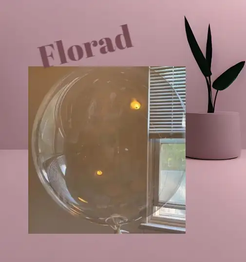 Globos transparentes 