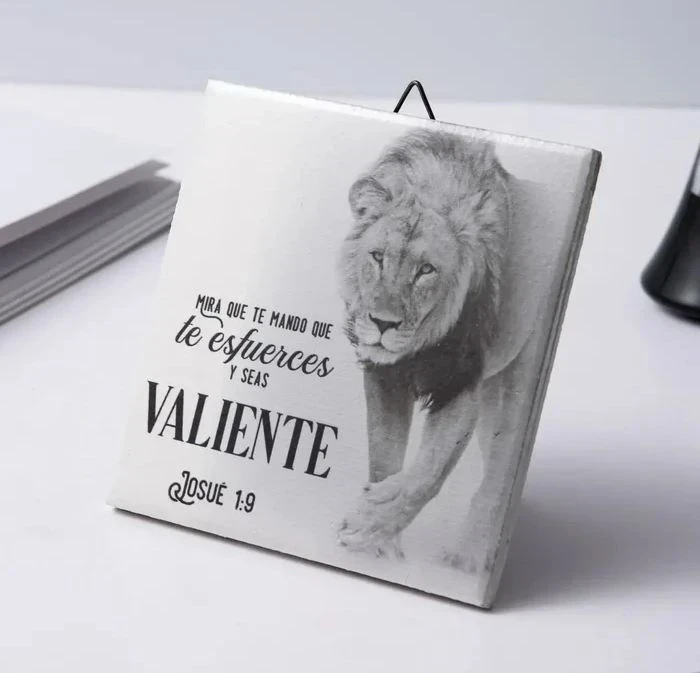Plaqué de cerámica Valiente 3