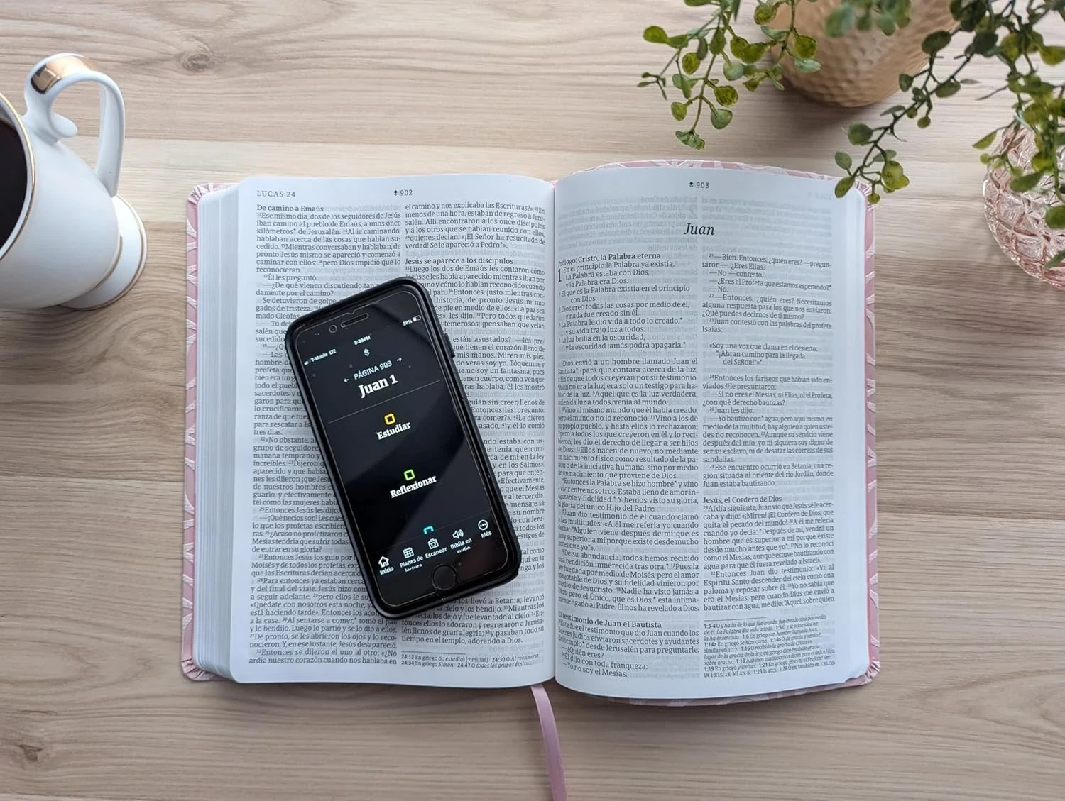 Biblia valor premium NTV letra grande sentipiel rosa 3