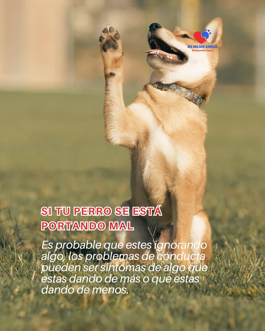CURSO ADULTOS 4