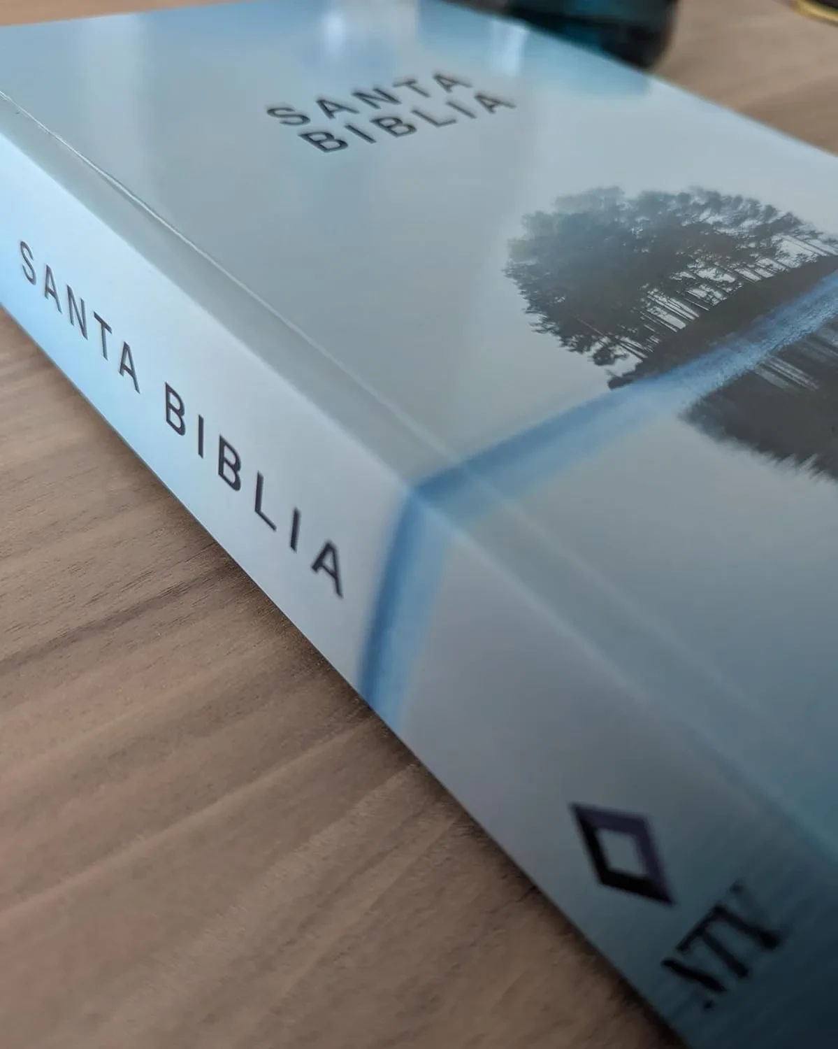 Santa Biblia NTV Premio y regalo rustica 2
