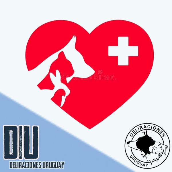 Productos veterinarios 