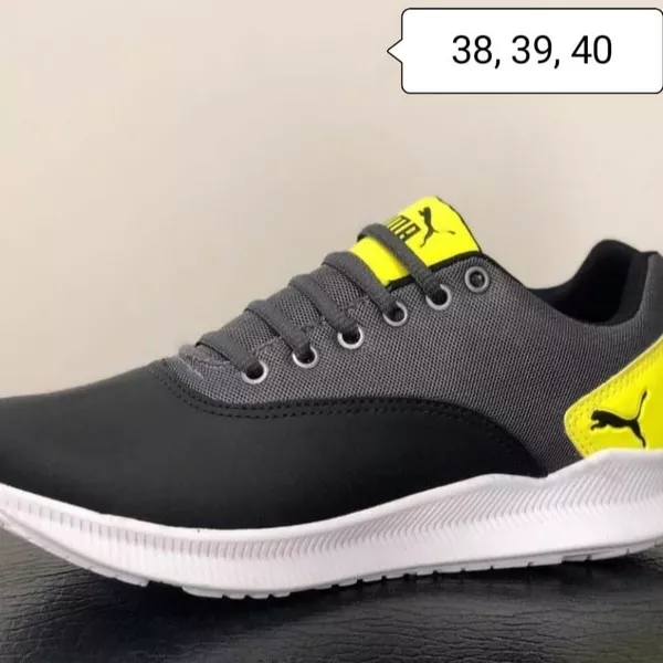 Puma 2