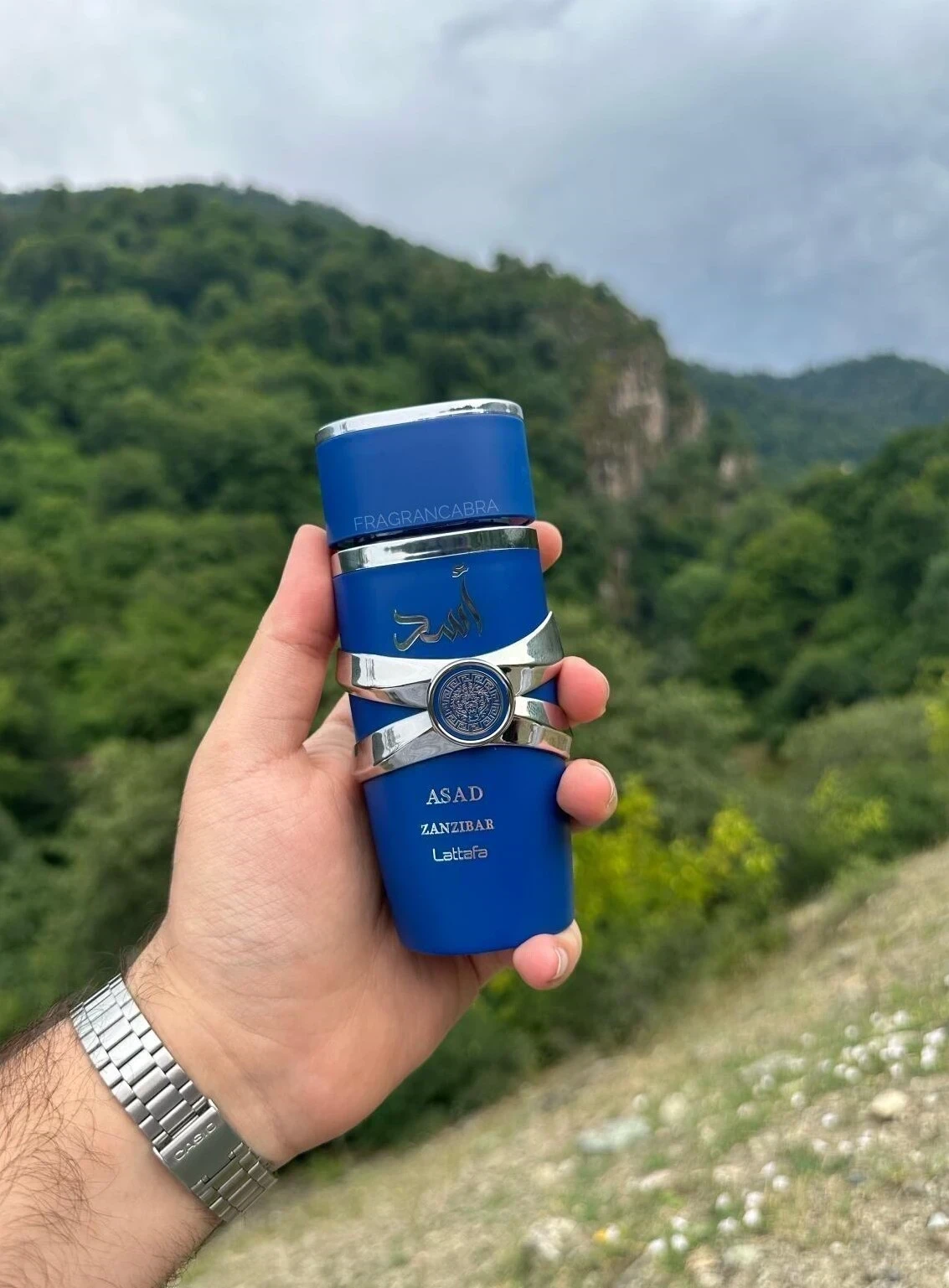 Asad Zanzibar Lattafa Perfumes  3