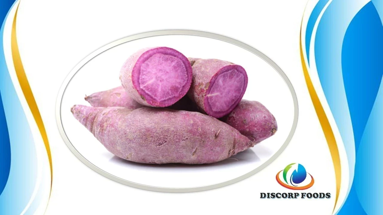 CAMOTE MORADO