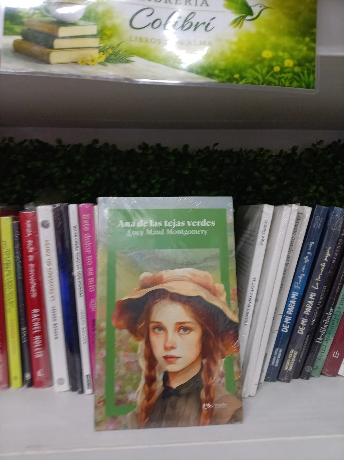 Ana de las tejas verdes 