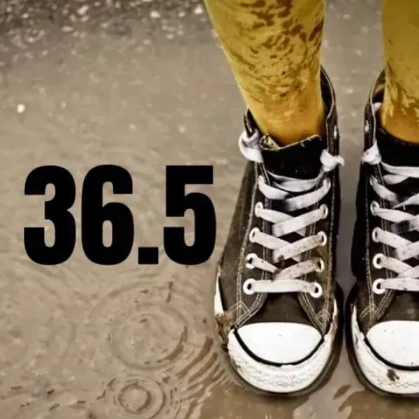 36.5