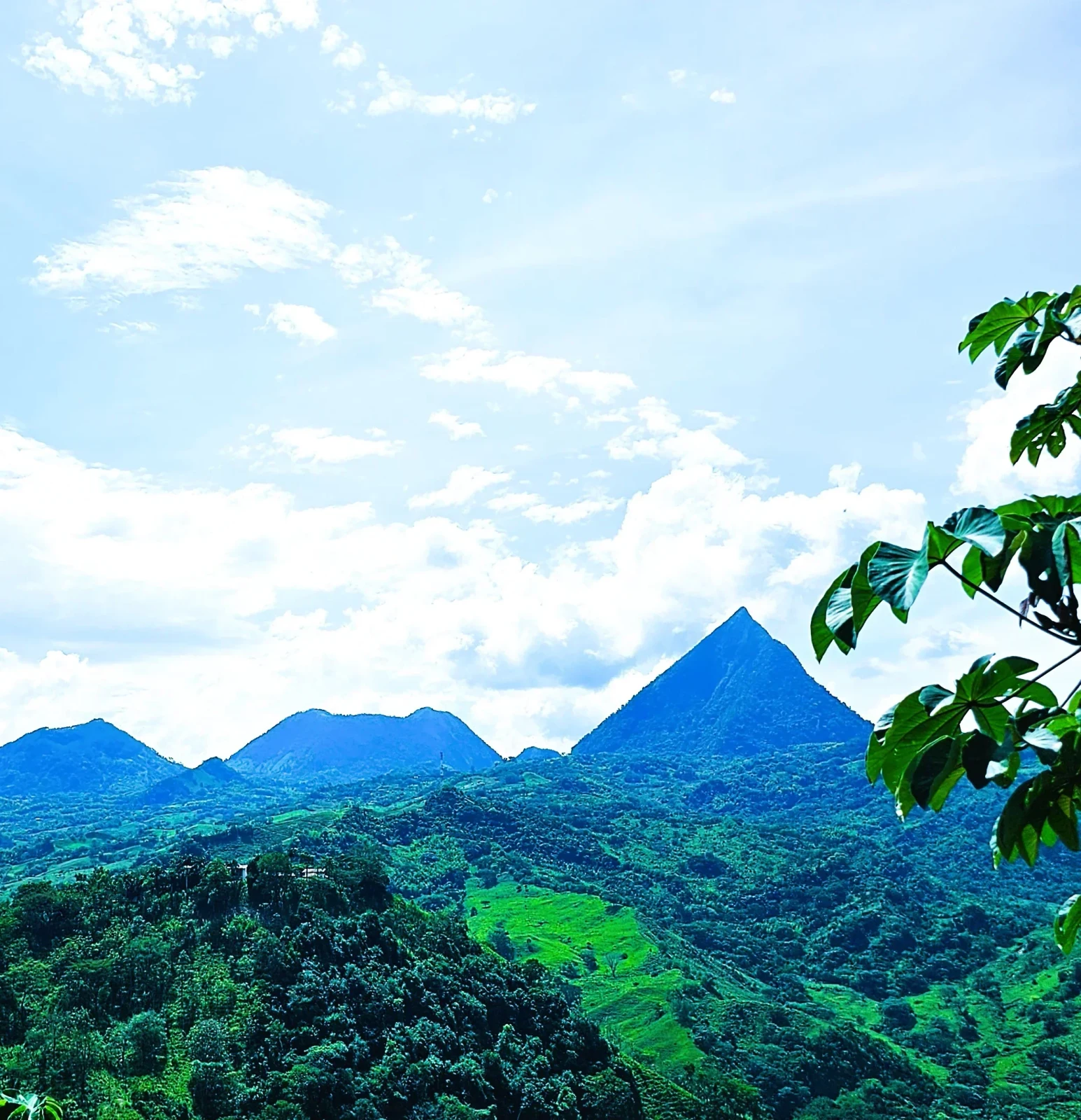 CERRO SILLON Y TUSA ÚNICOS 3