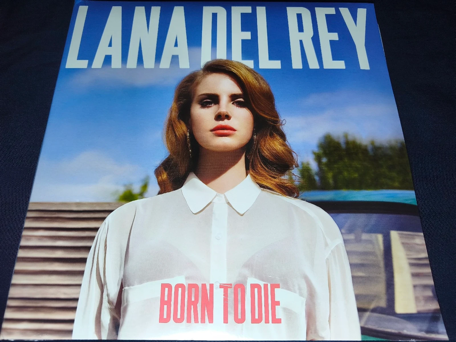 Lana Del Rey - Born To Die (2 VINILOS GATEFOLD)(MADE IN CZECH REPUBLIC)