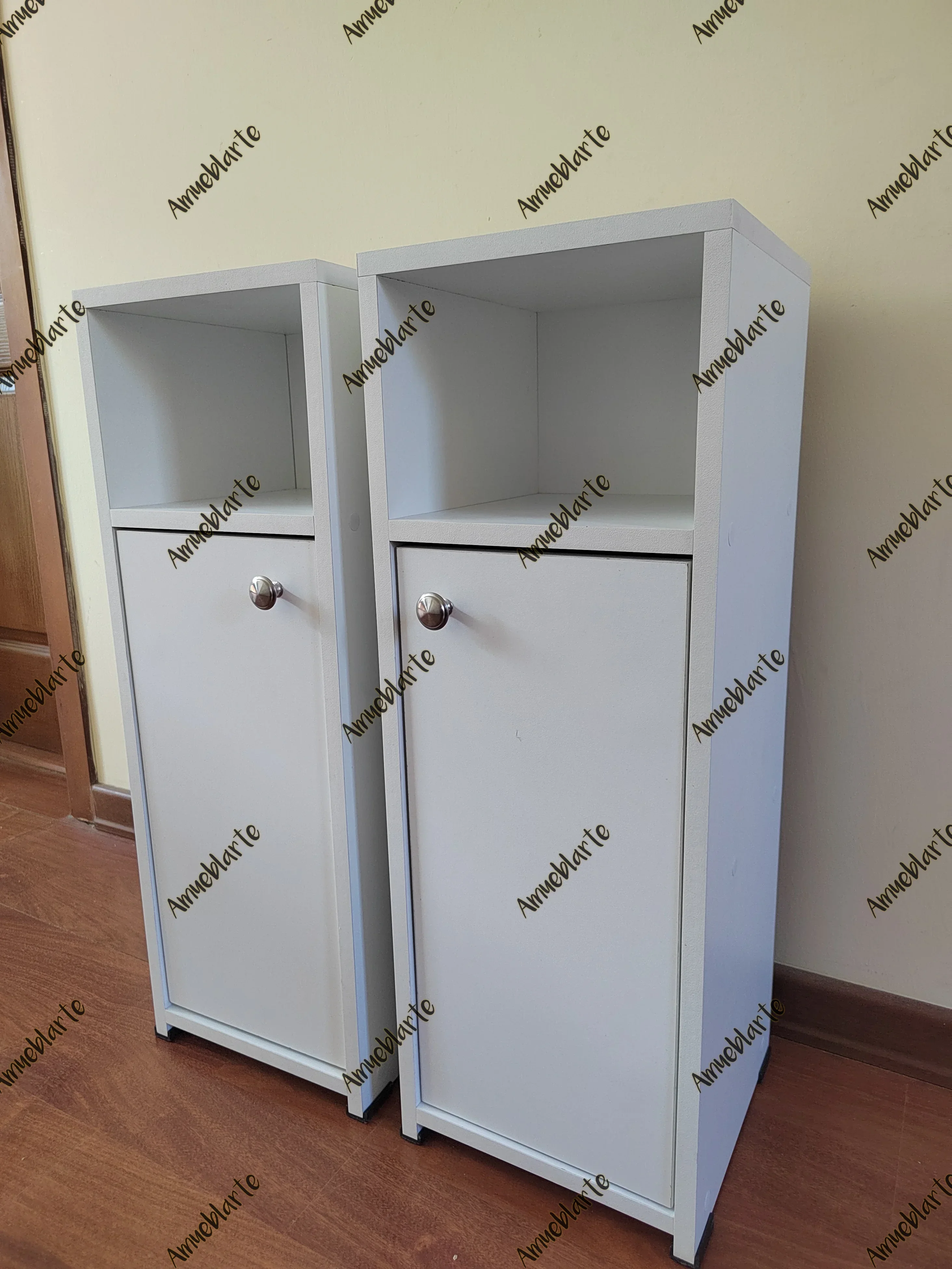 Organizador con puerta  2