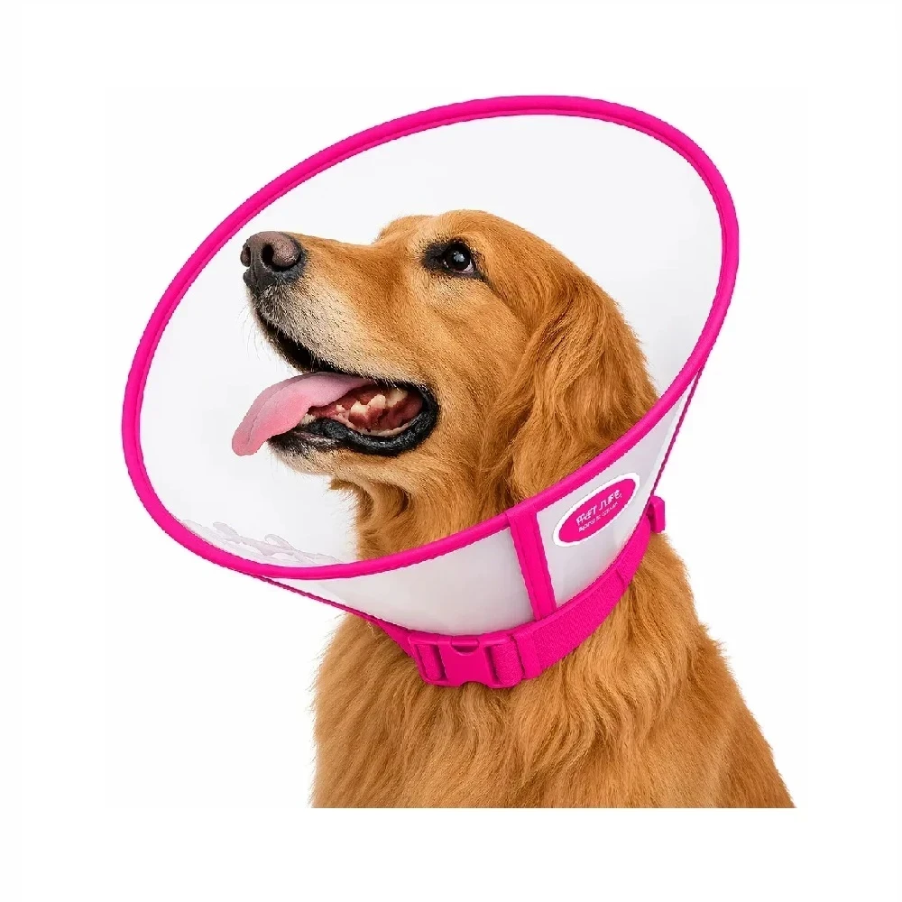 Collar Isabelino cónico de plástico durable fucsia