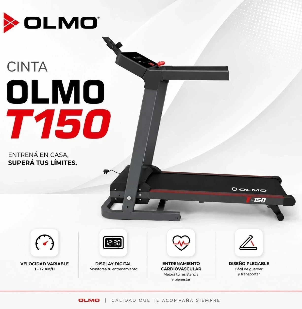 CINTA OLMO T-150