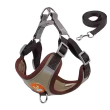 PRETAL XL FLUOR  5