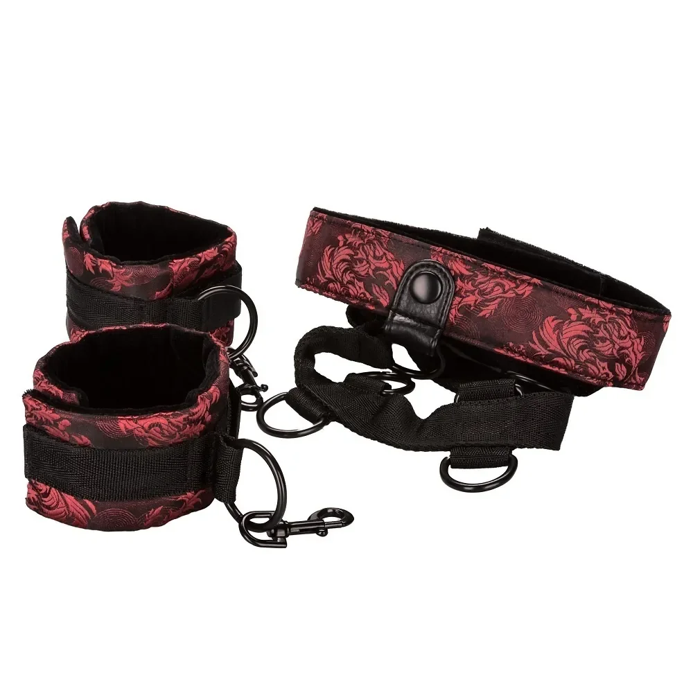  Scandal Collar Body Restraint 3