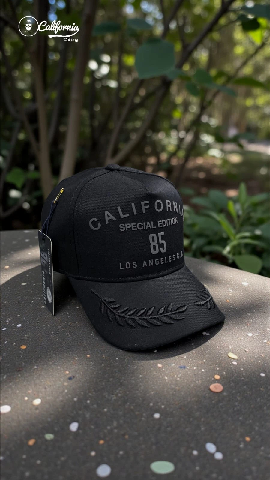 Gorras California 