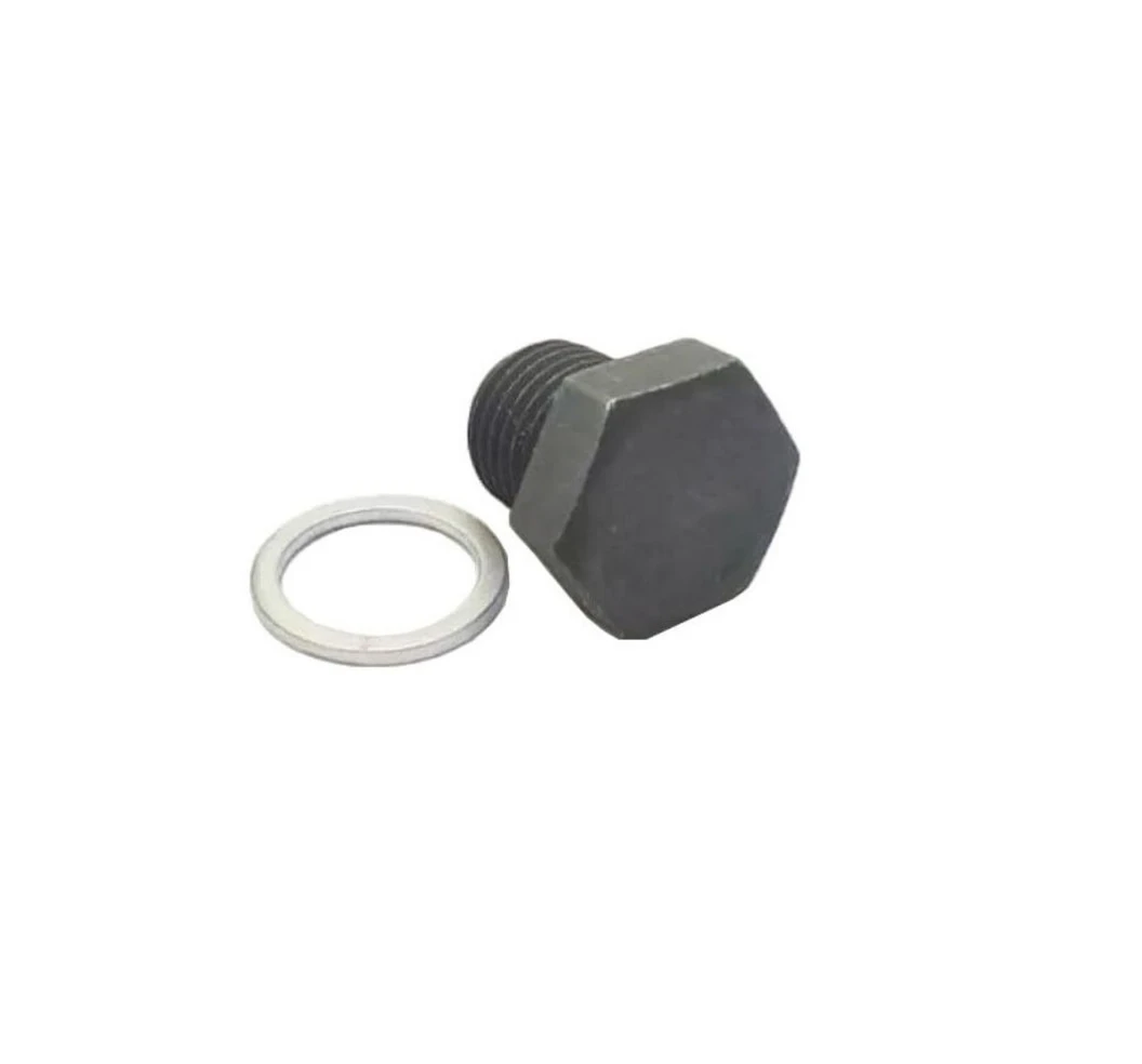 Perno del carter VW Gol, Voyage, Passat  M14x10 con anillo 188411