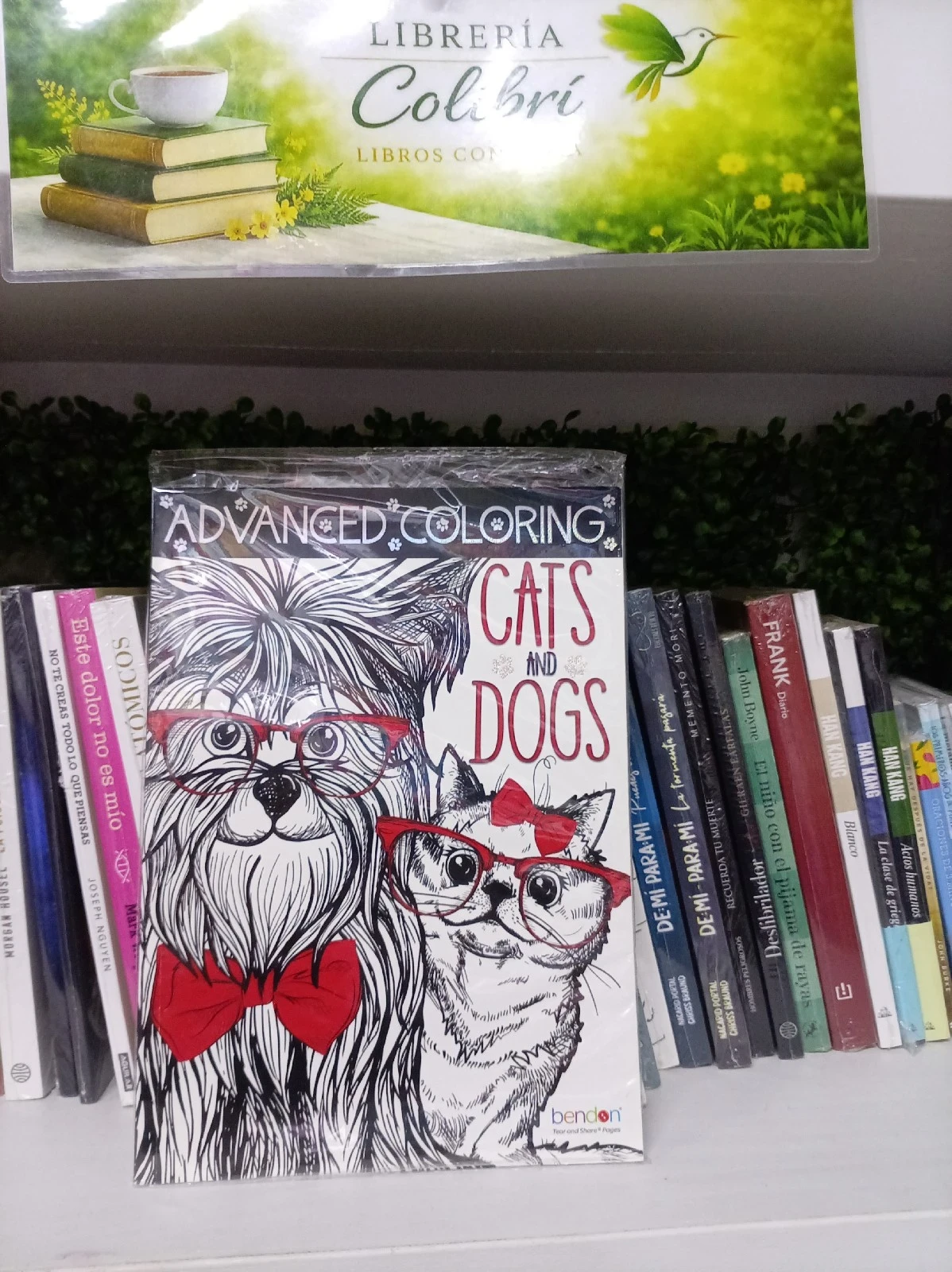 Cats and Dogs – Advanced Coloring