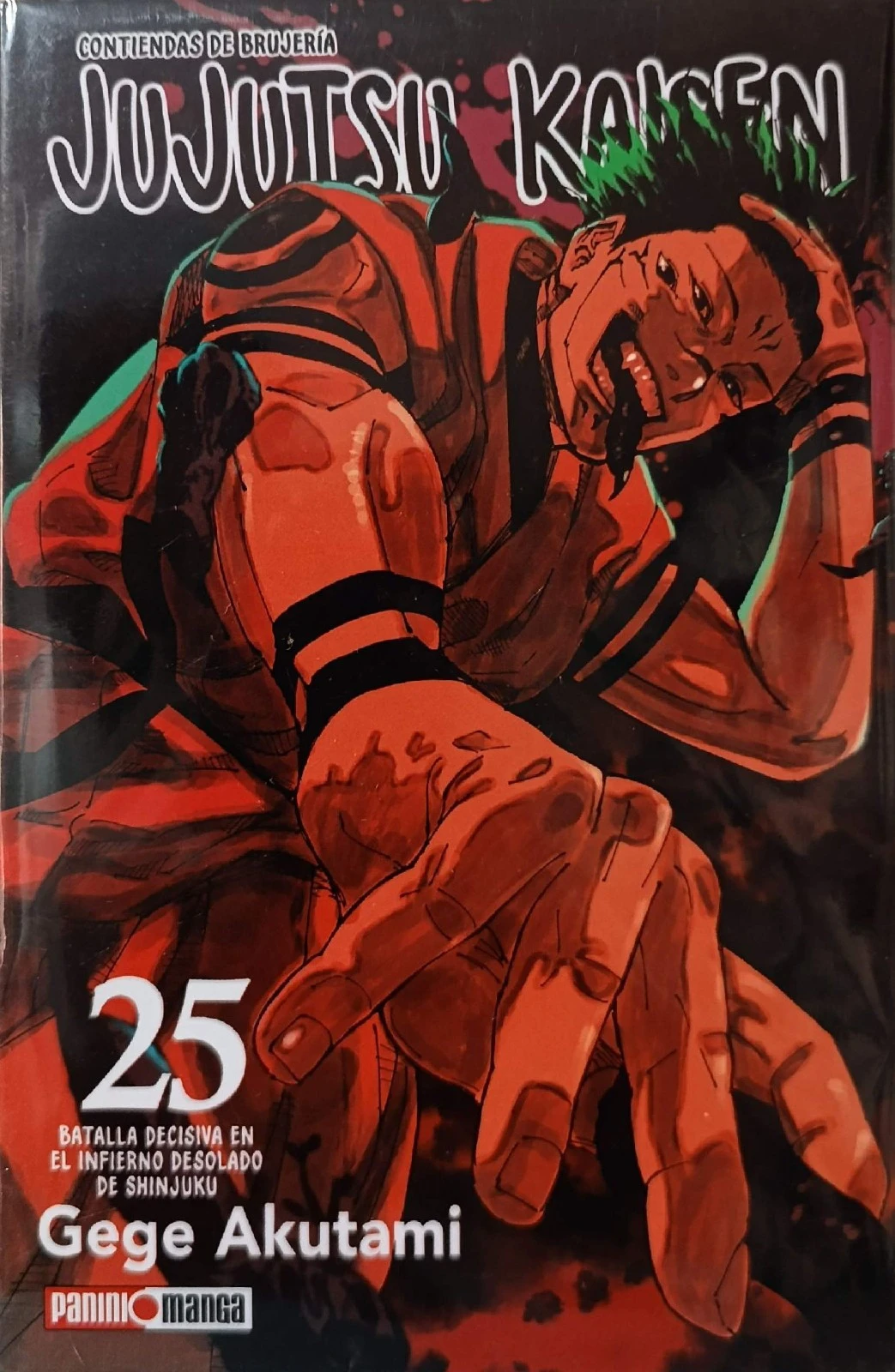 JUJUTSU KAISEN 25