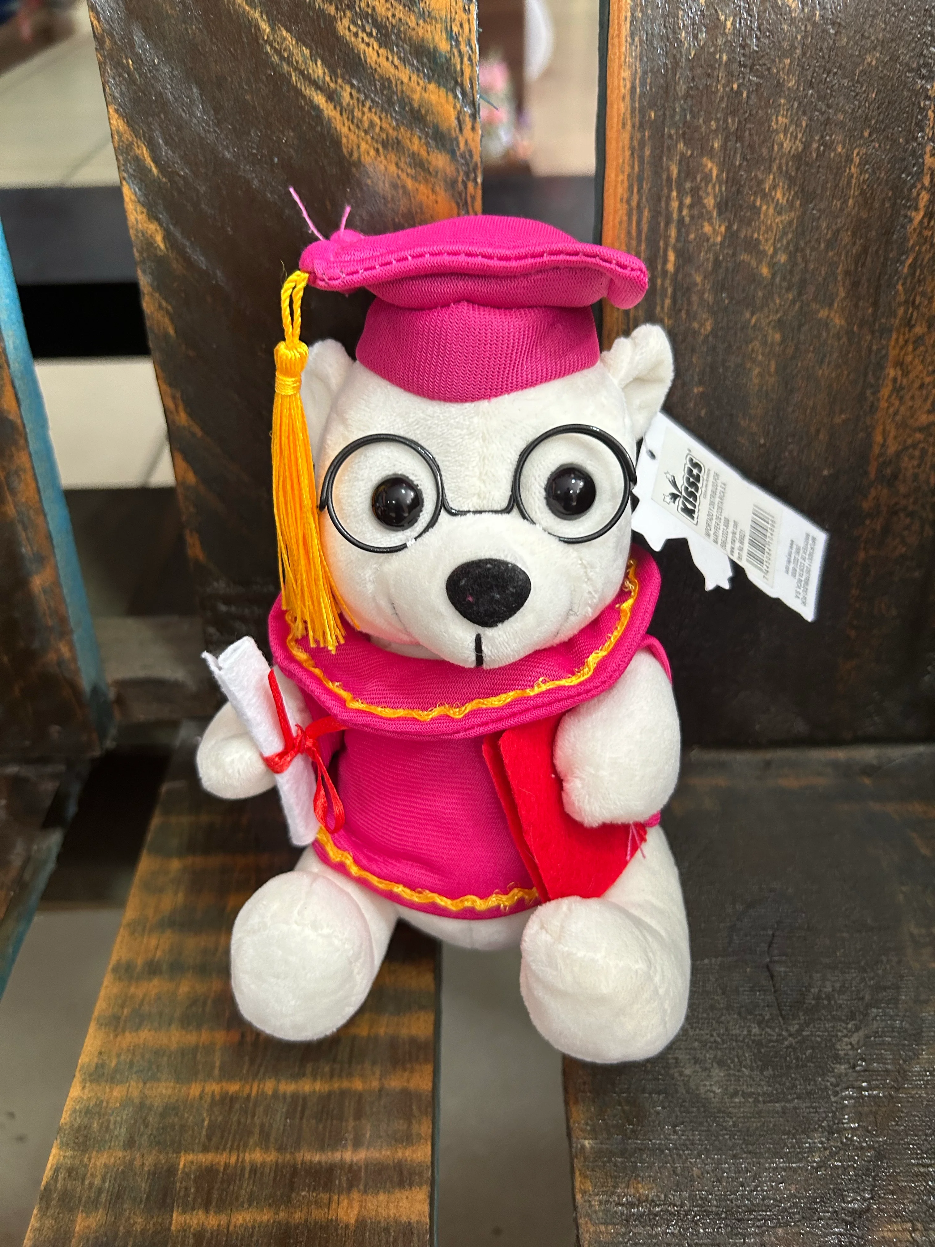 Peluche graduación 