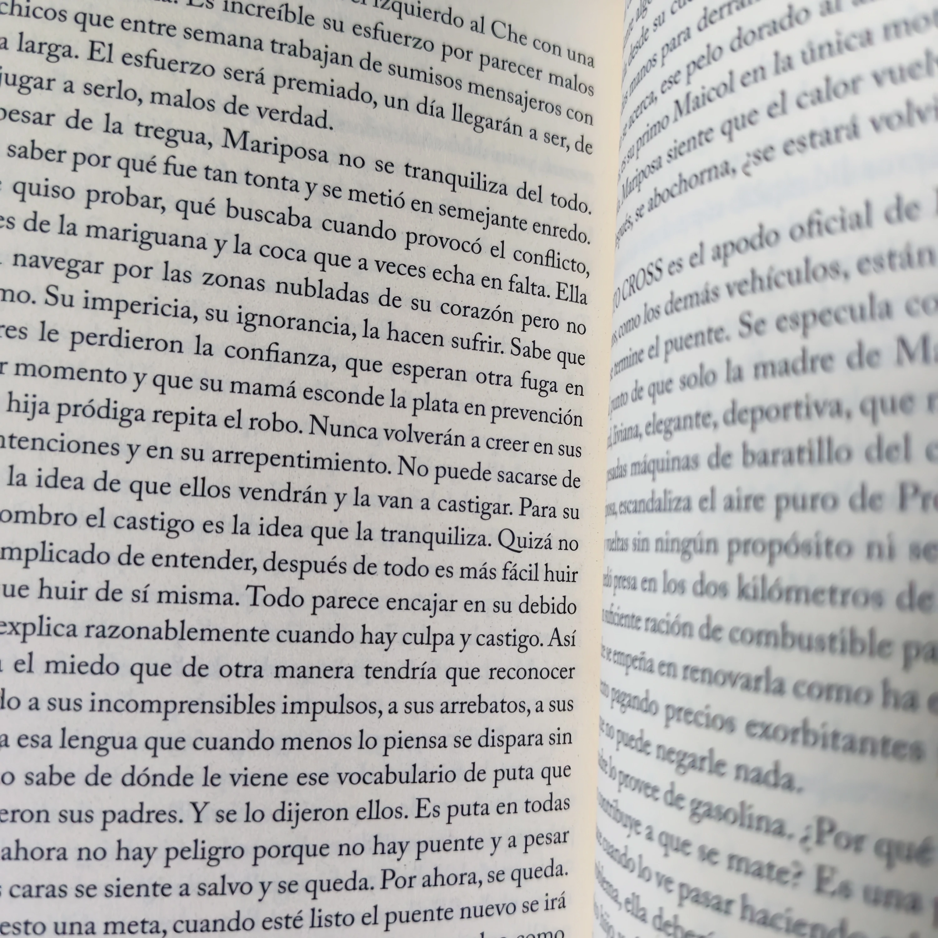 El puente de Ismael , Tatiana Lobo usado  3