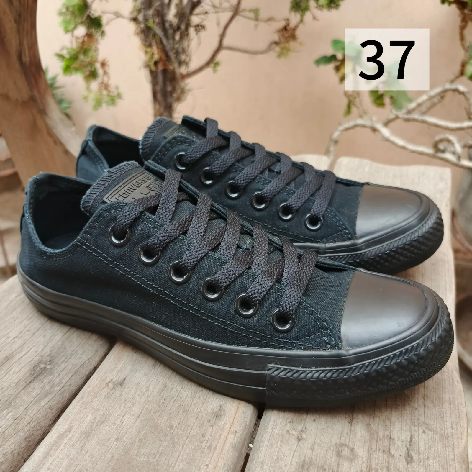 Converse All Star 