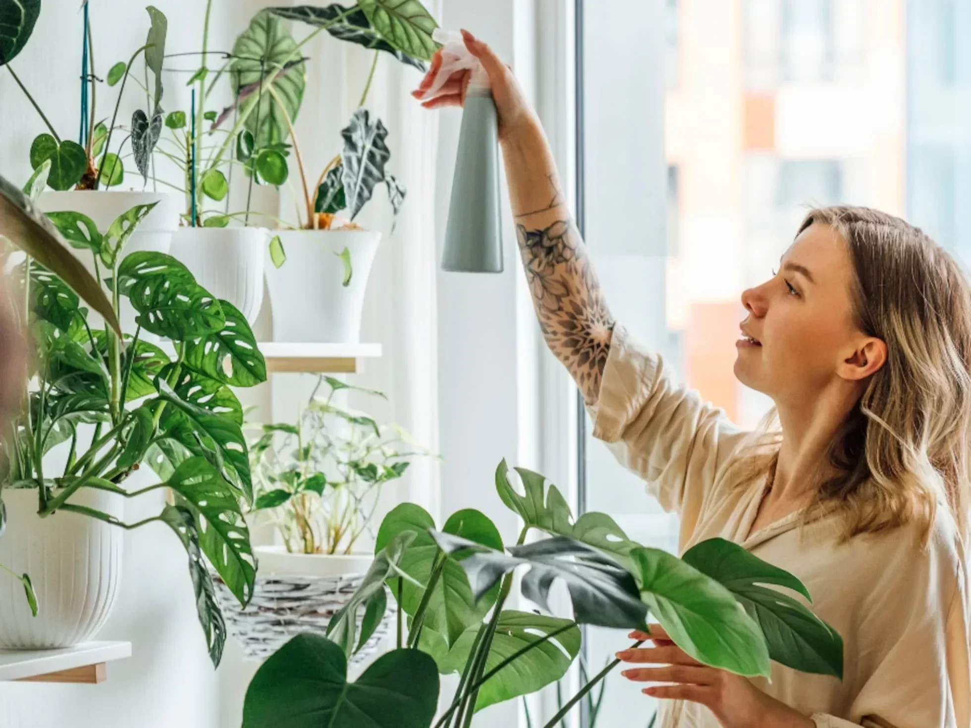 Plantas de Interior: Cuidado Invernal y Manejo Agroecológico (Curso Presencial)
