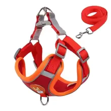 PRETAL XL FLUOR  4