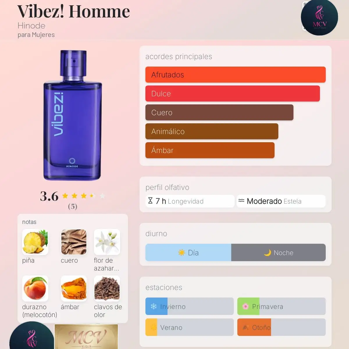 Vibez Homme