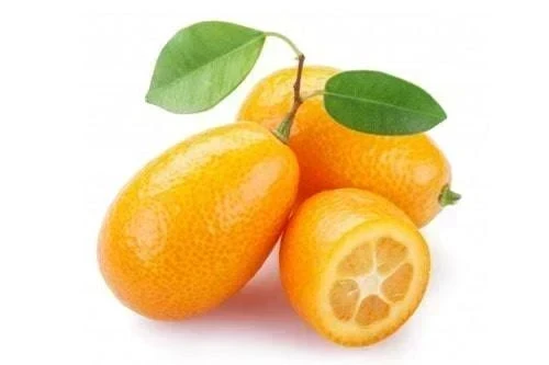 QUINOTO bolsa 1 kg