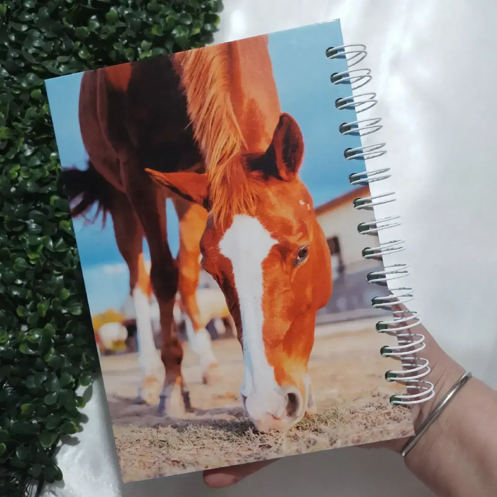 Cuaderno A5 interior personalizado  4