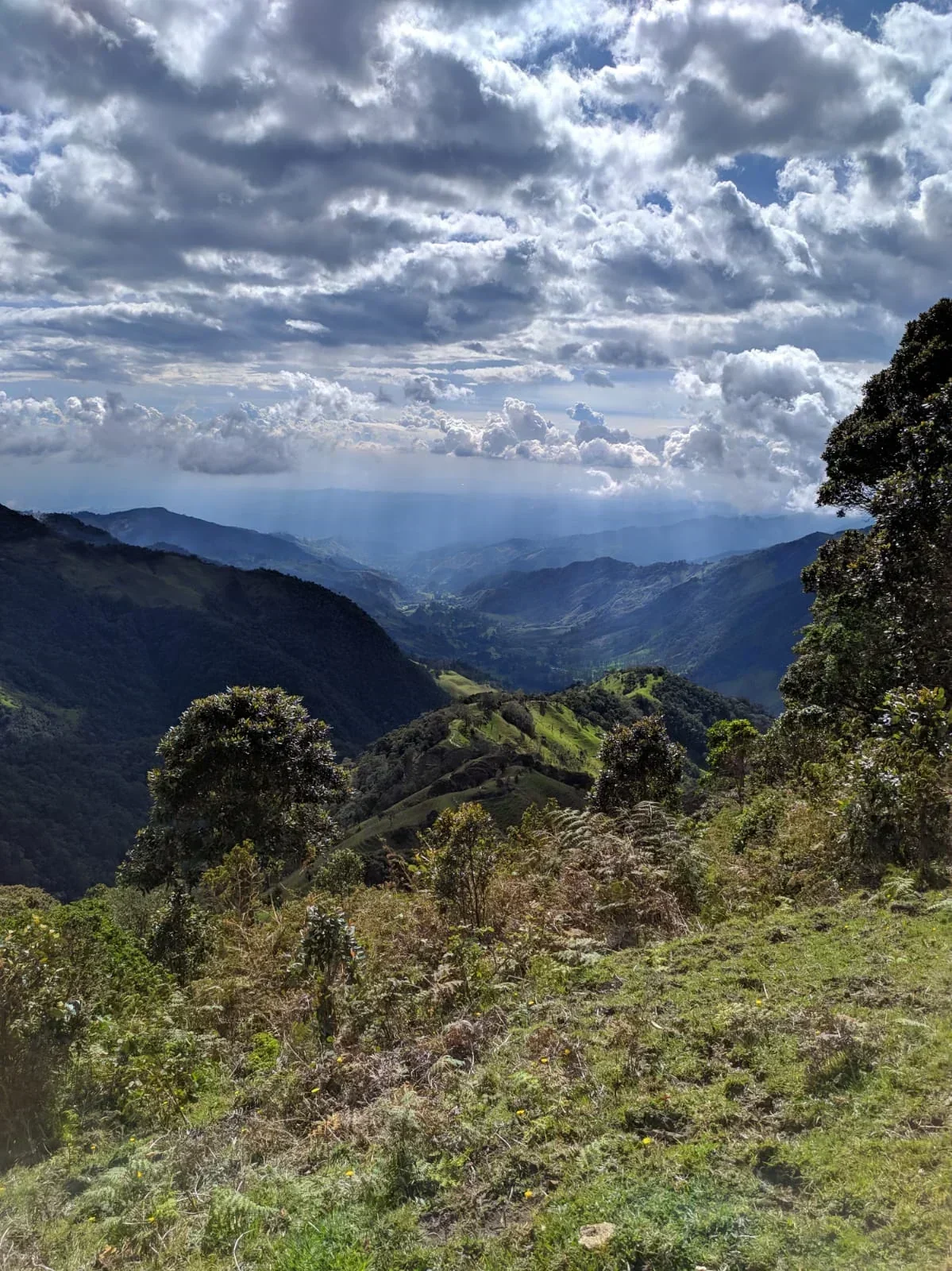 CERRO MORROGACHO SALENTO QUINDIO 6