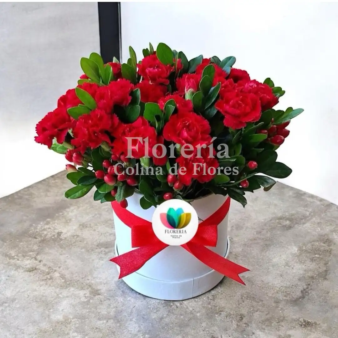 Box de claveles 
