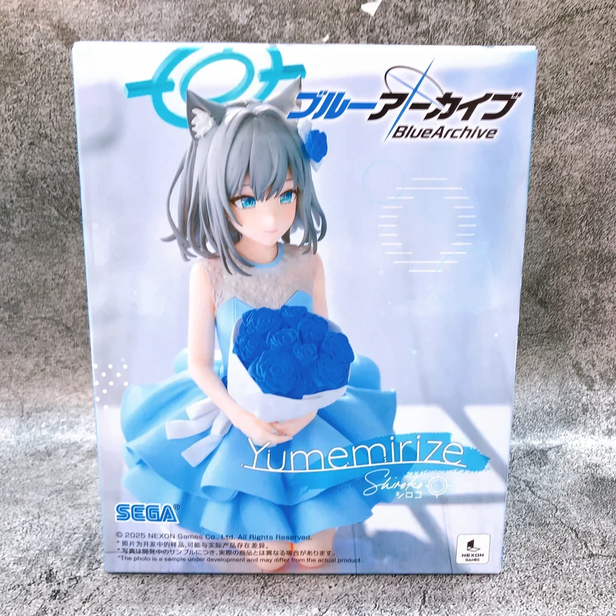 Shiroko Yumemirize
